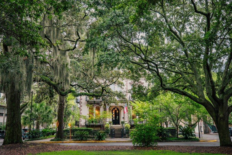 Tree-lined public square in Savannah, Georgia, with large live oaks draped in Spanish moss and a historic colonial building in the background
