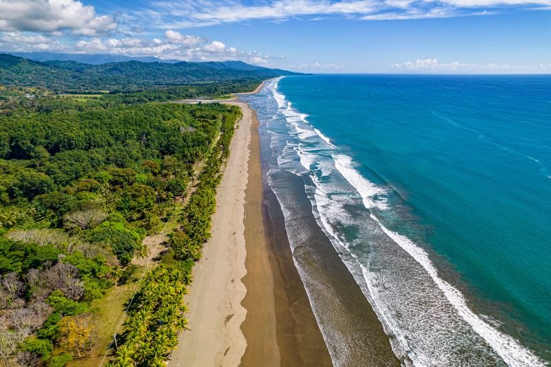 Aerial view of a long sandy beach bordered by dense tropical jungle and turquoise ocean waves