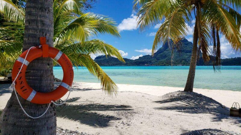 Orange lifebuoy on a palm tree beside a white sandy beach and calm turquoise lagoon
