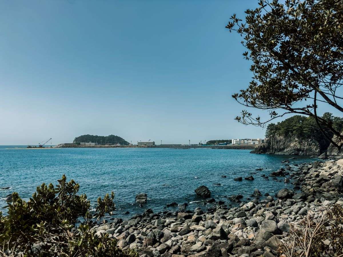 Rocky shoreline with calm blue water, trees, and low coastal buildings under a clear sky