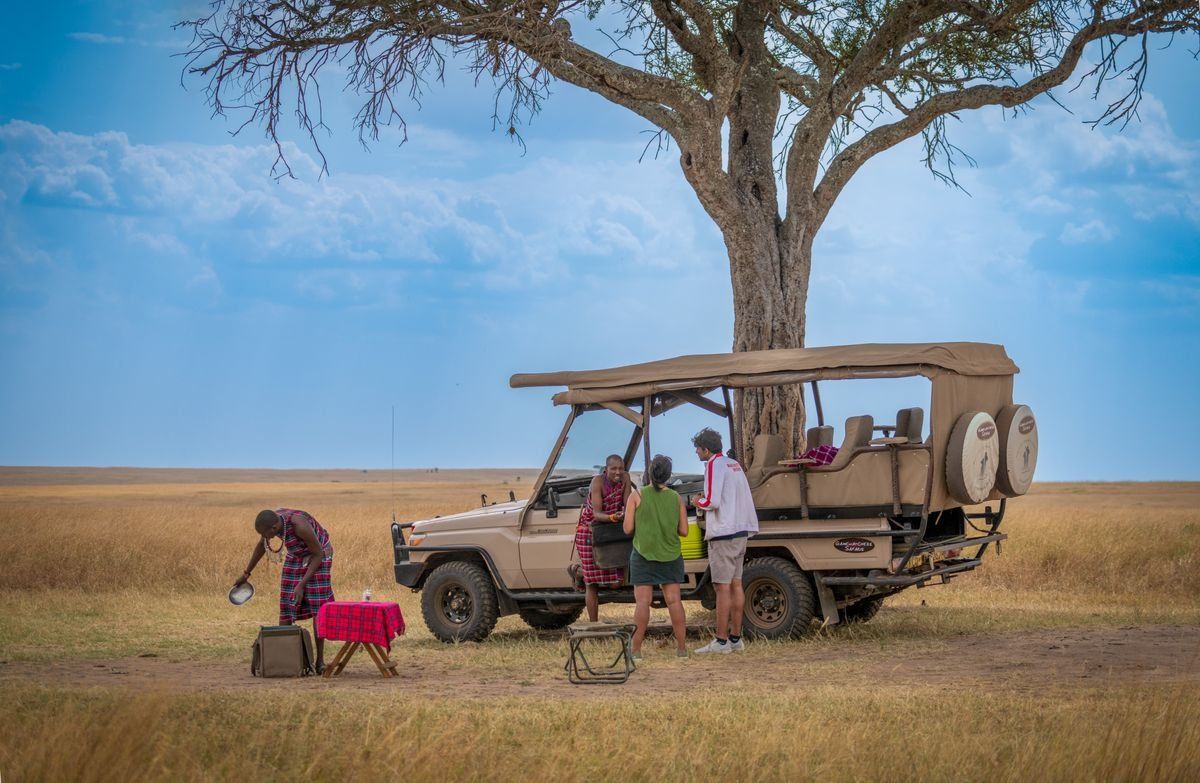 Safari group beside an open vehicle under a large acacia tree on the savannah