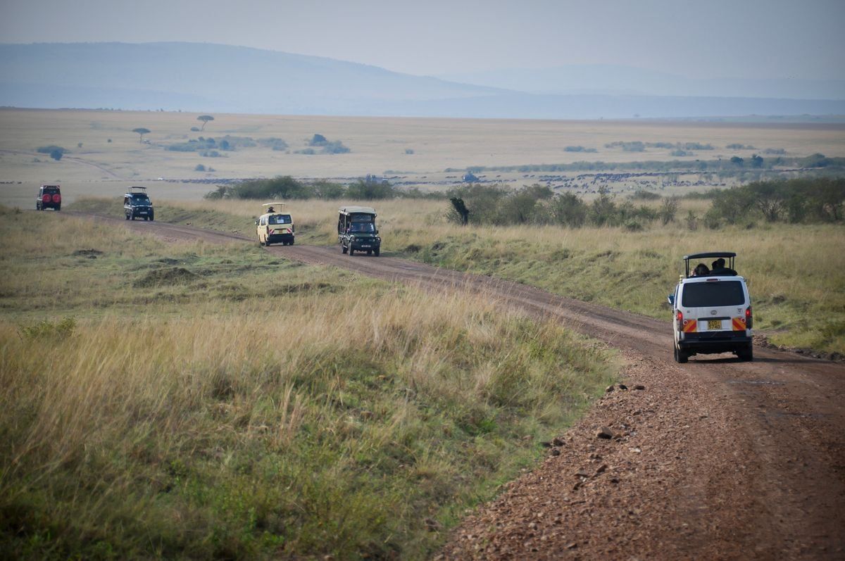 Several safari vehicles driving along a dirt road across open savannah