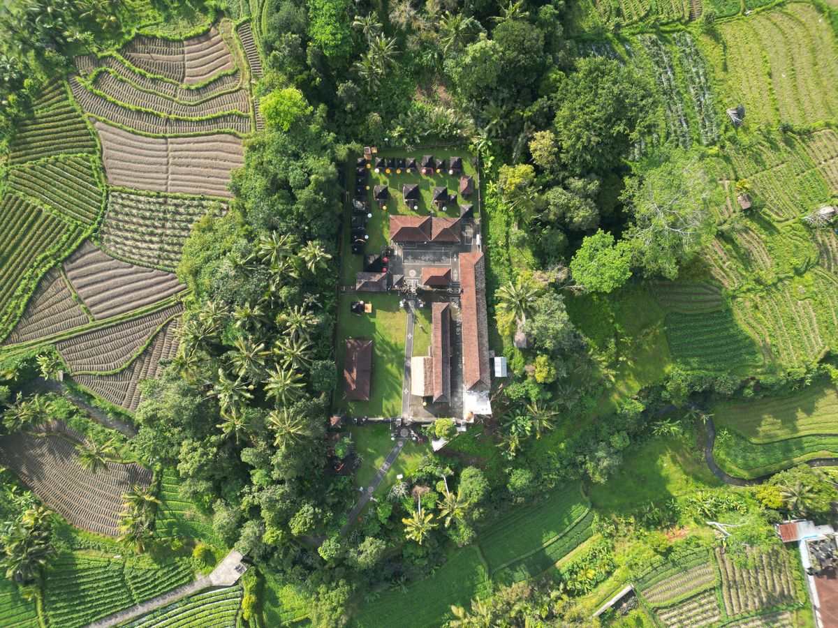 Aerial view of a temple complex surrounded by rice fields and palm trees
