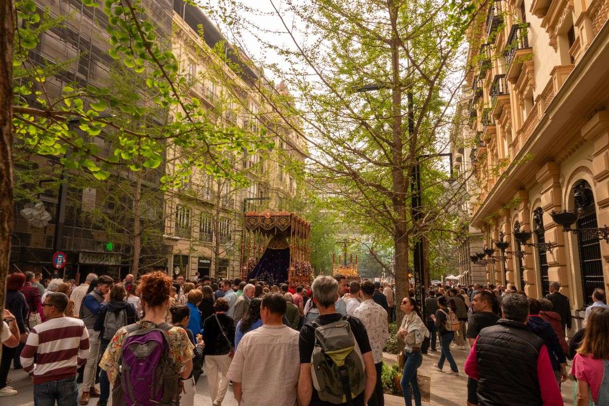 Crowd gathered on a tree-lined street in Granada during a religious procession