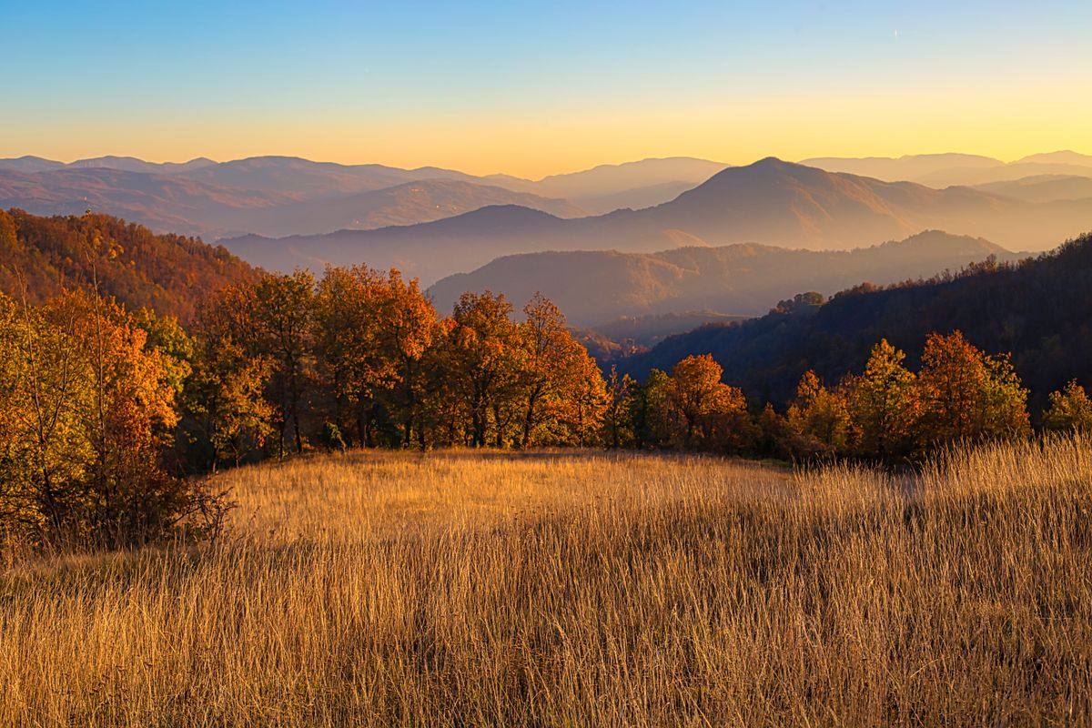 Golden meadow and autumn trees with layered mountains at sunset