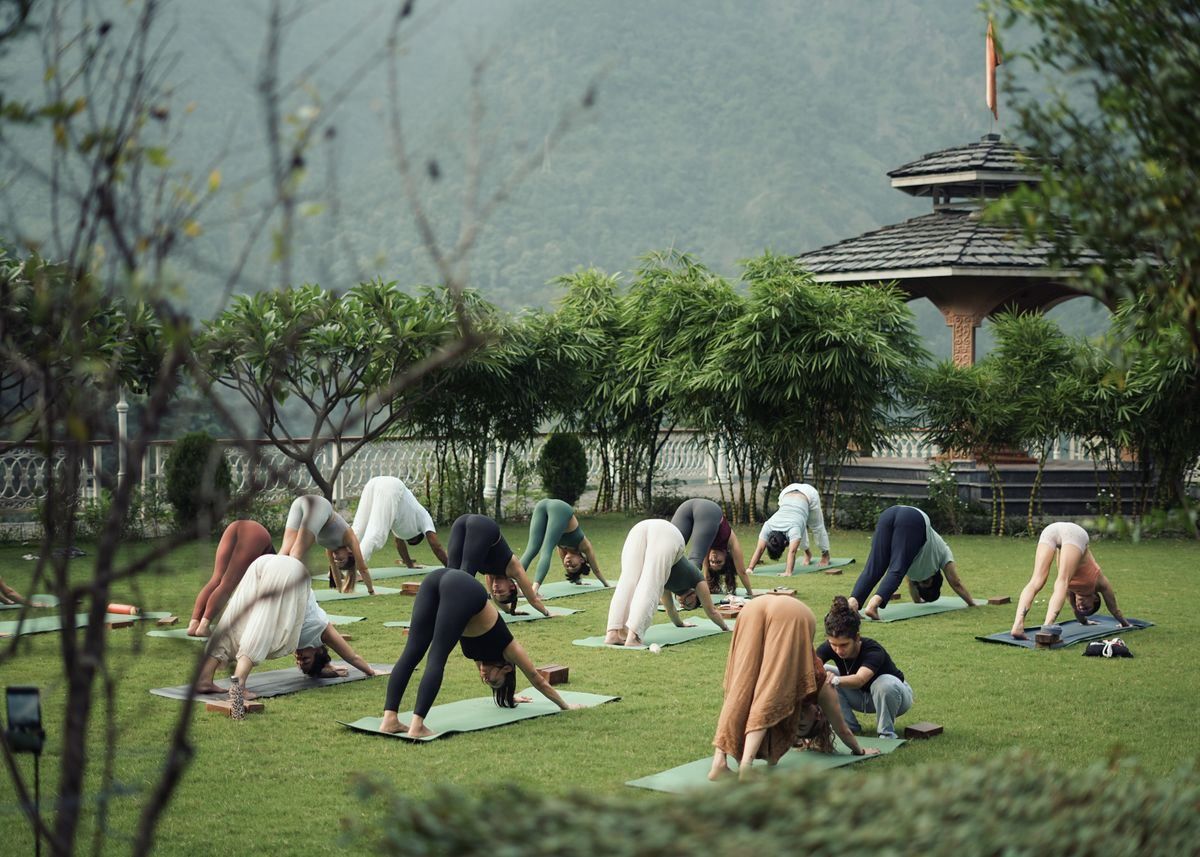 Group yoga class on a lawn practicing downward dog near trees and a pavilion