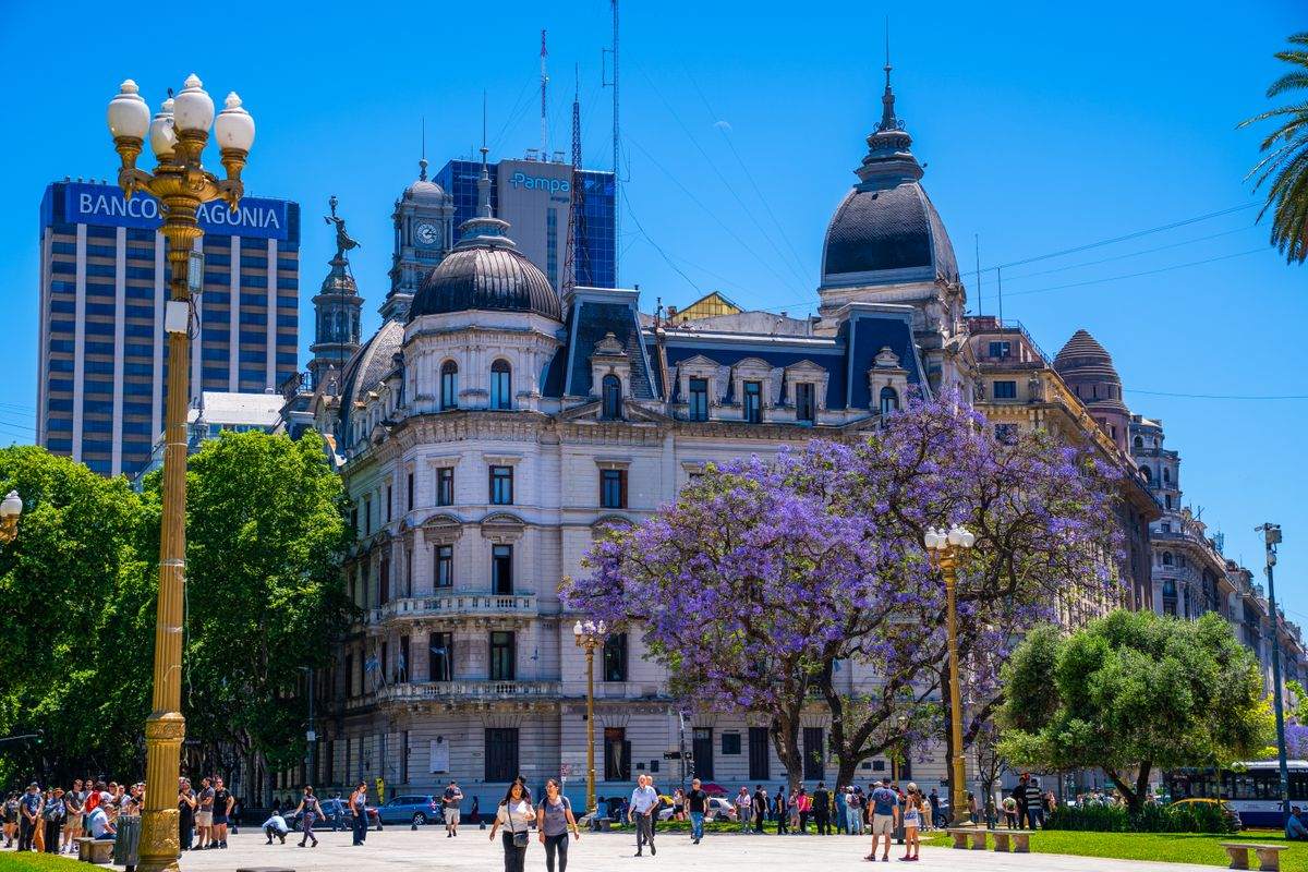 Historic buildings and jacaranda trees along Plaza de Mayo in Buenos Aires
