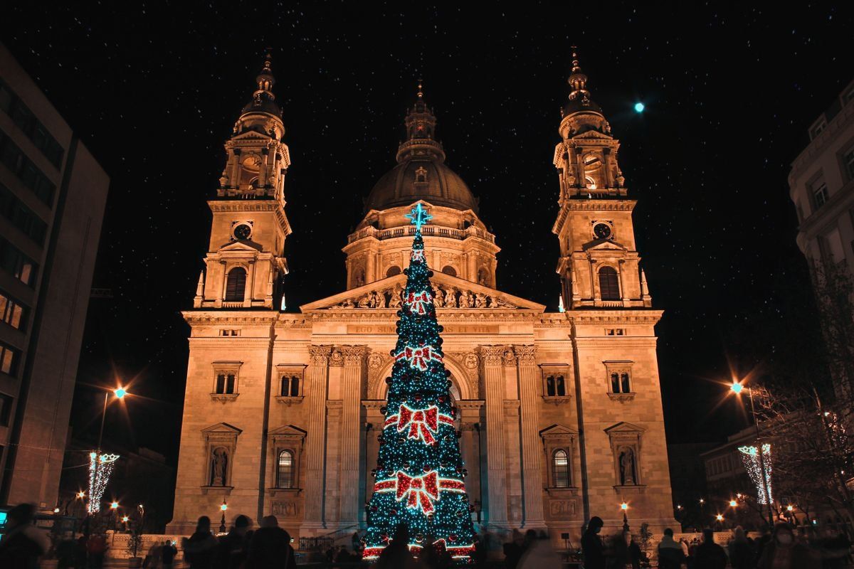 Lit Christmas tree standing in front of a grand cathedral at night