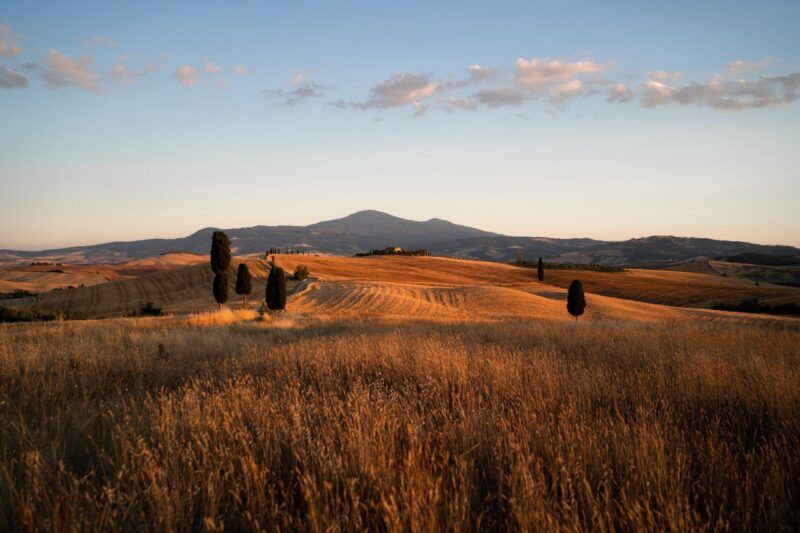 Montalcino