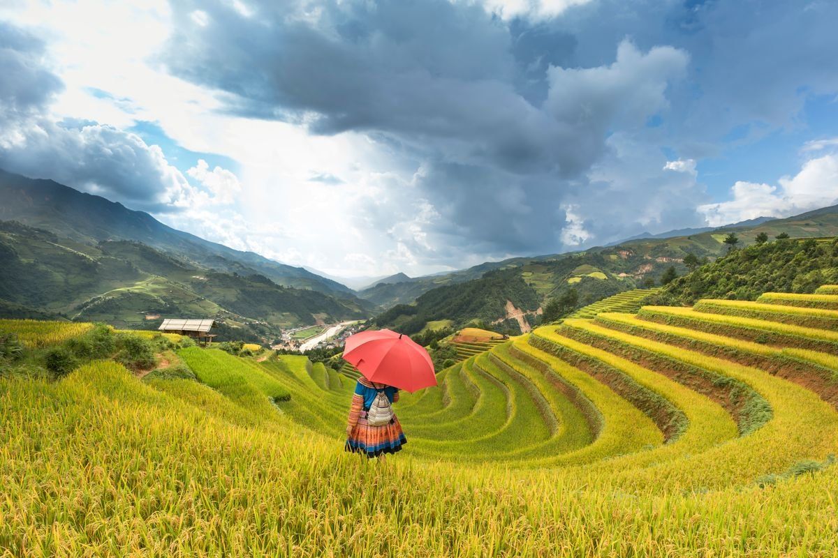 Person with a red umbrella standing among terraced rice fields under dark clouds