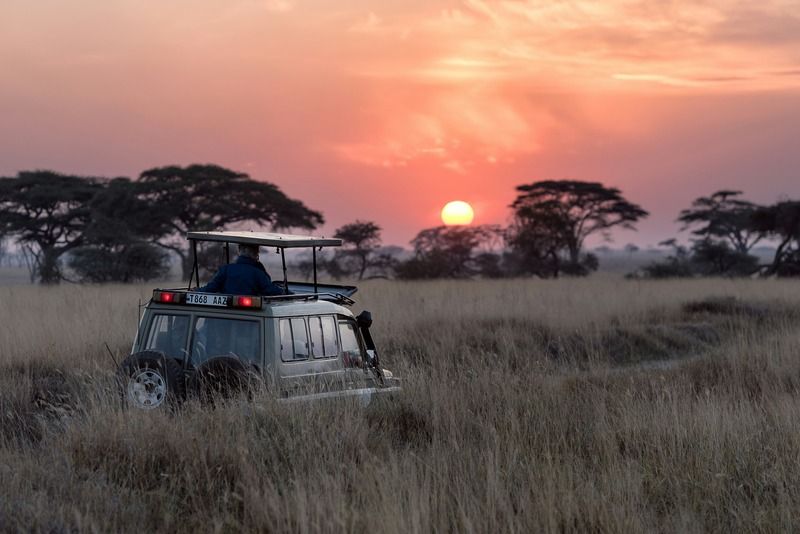 A safari jeep with a guide standing through the roof hatch watches the sun set over the Tanzanian savanna