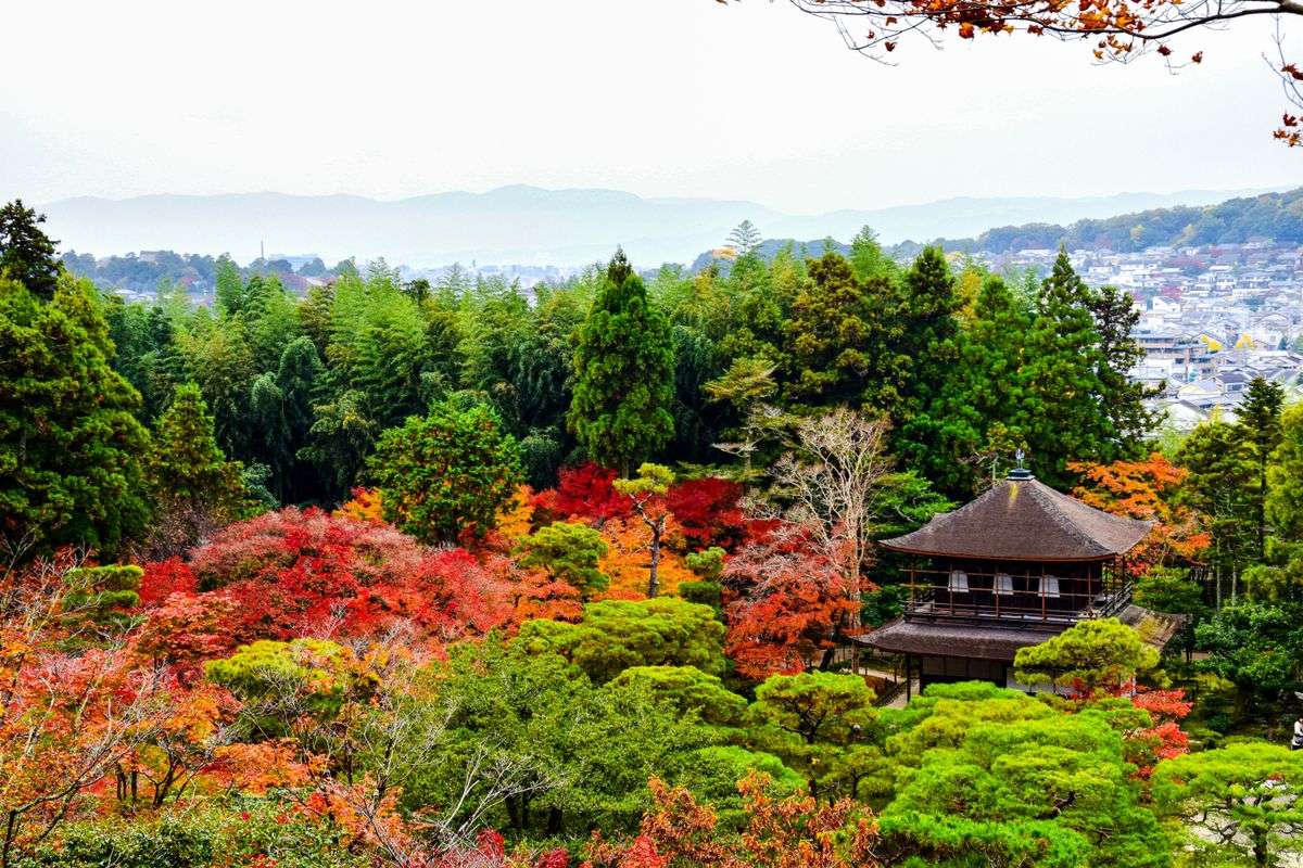 Temple pavilion among colorful autumn trees and dense greenery