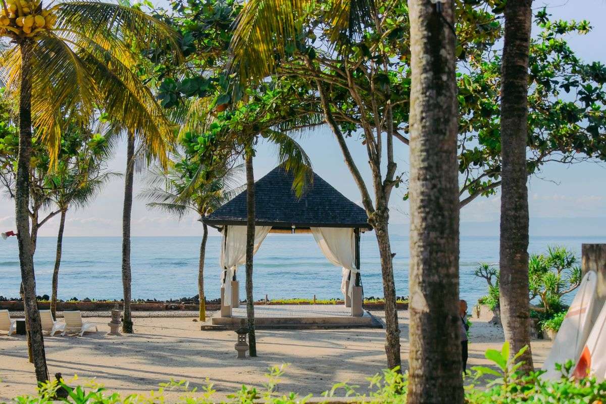 Beachfront pavilion framed by palm trees beside calm sea and sun loungers