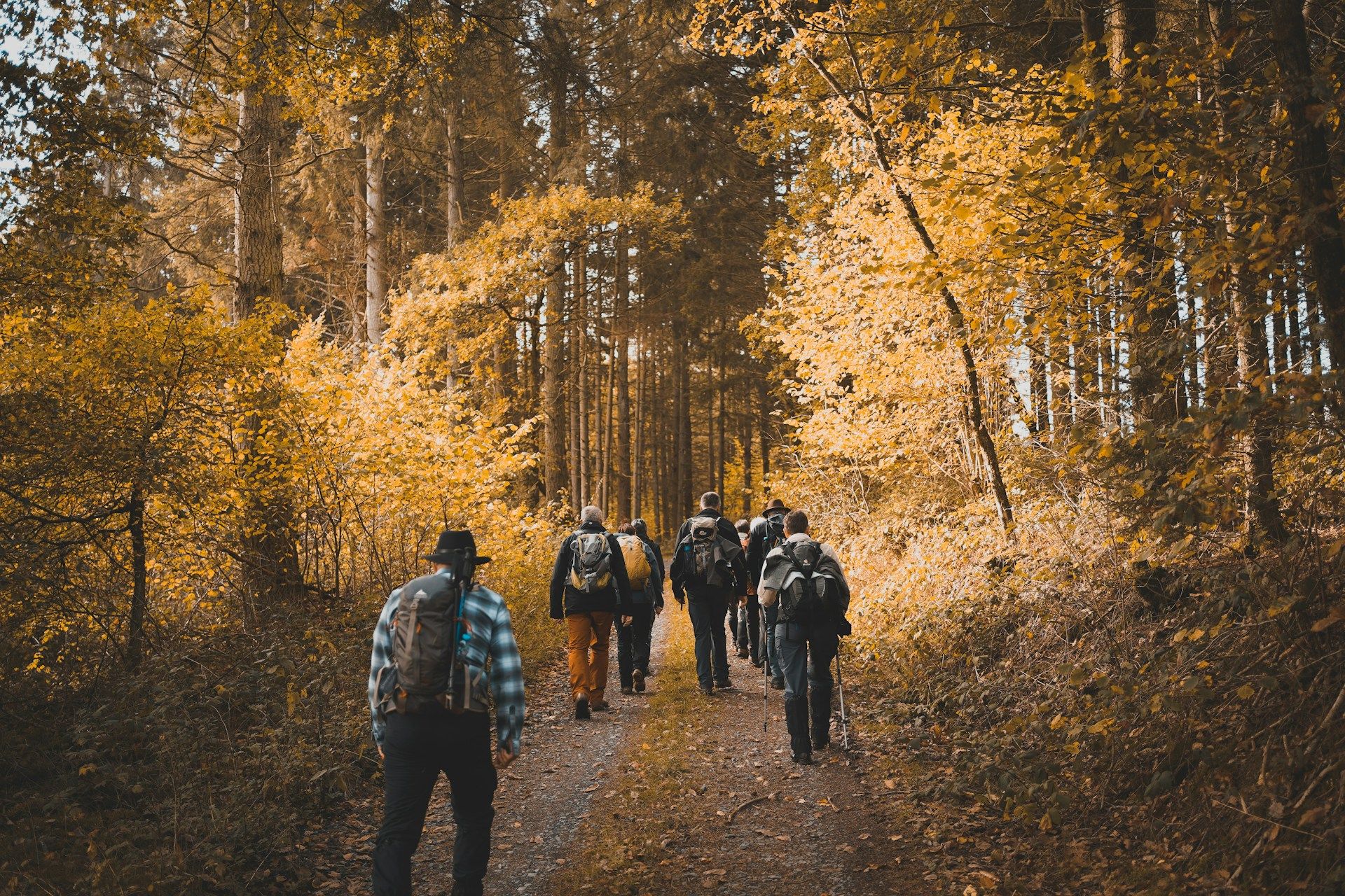 Best fall hiking trails