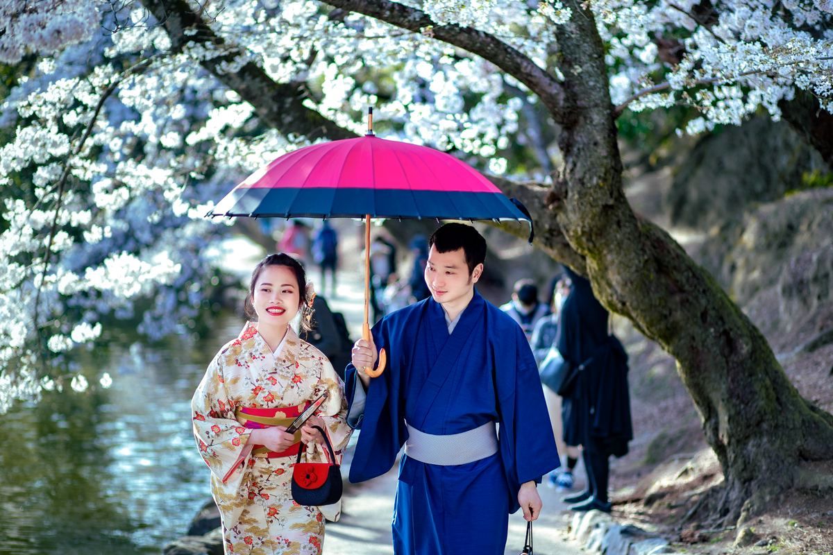 Couple in kimono walking under cherry blossoms with a colorful umbrella