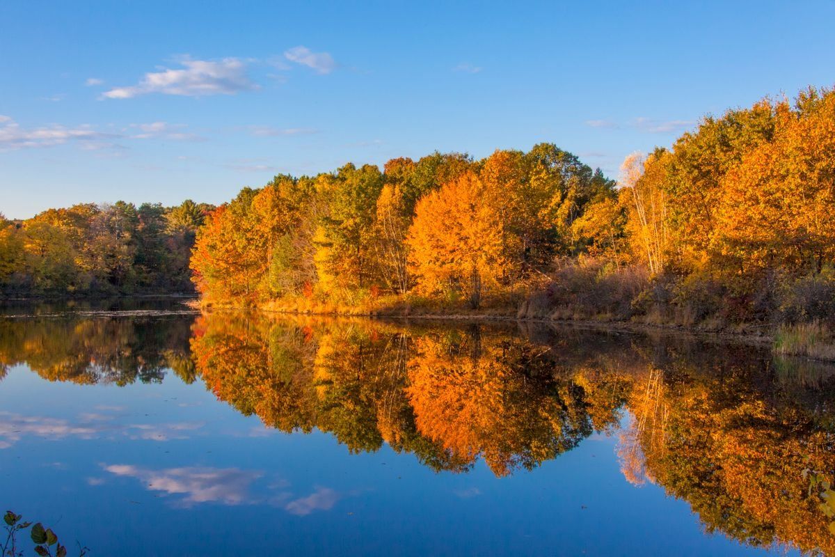 Golden autumn trees reflected in a still lake beneath a clear blue sky