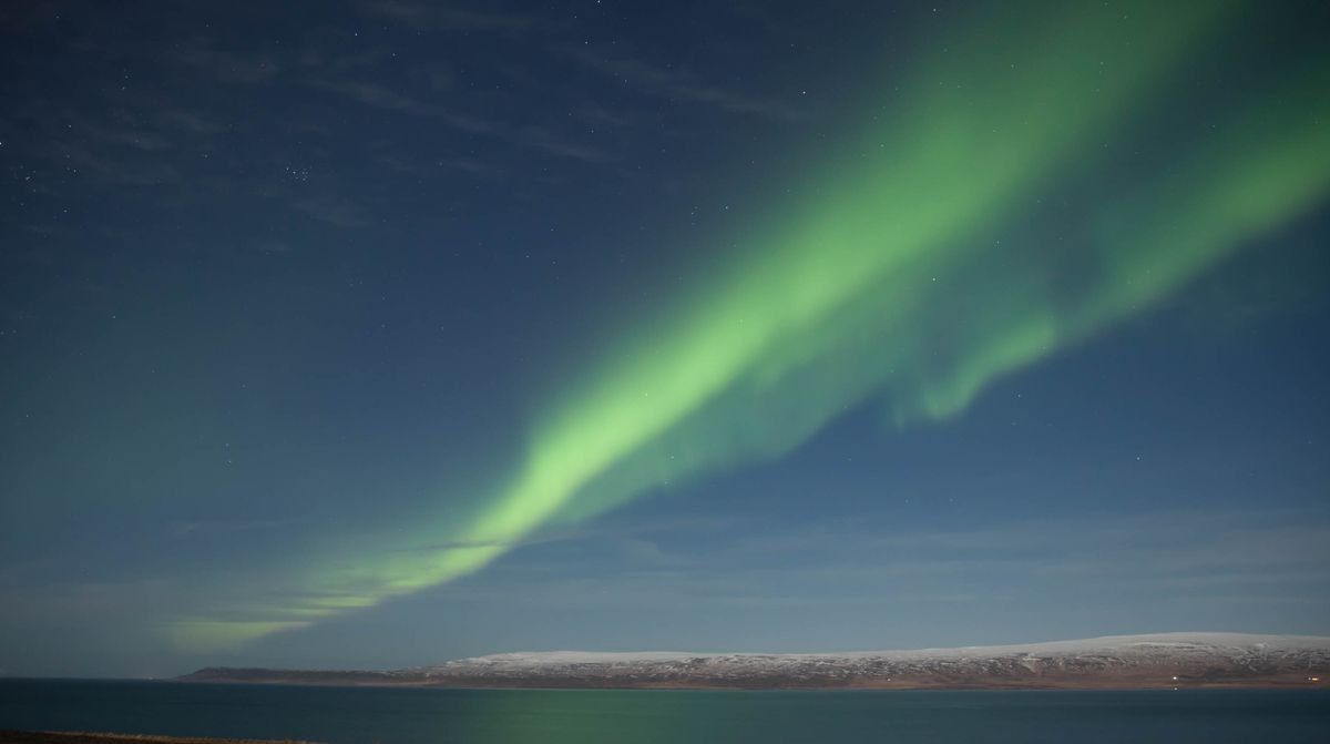 Green aurora stretching over calm sea and a snow-covered shoreline at night