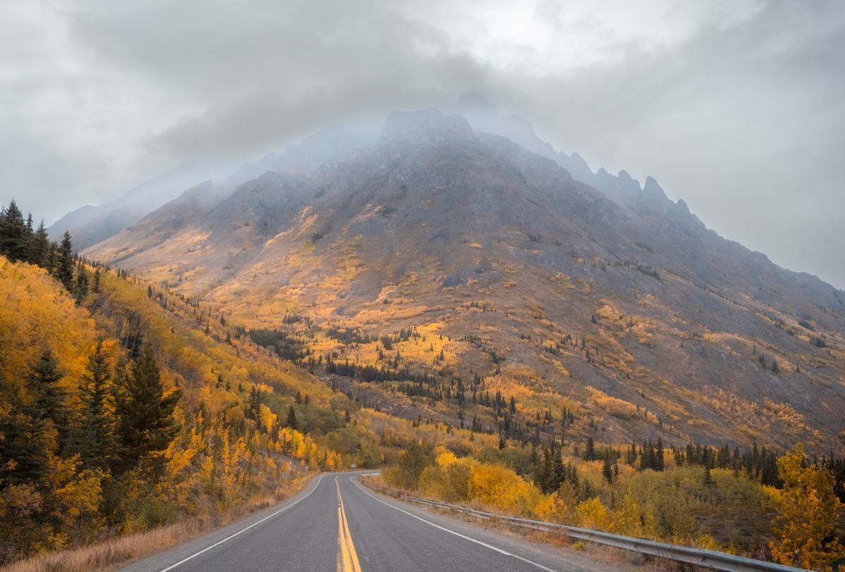 Highway leading toward a misty mountain with golden autumn trees on the slopes