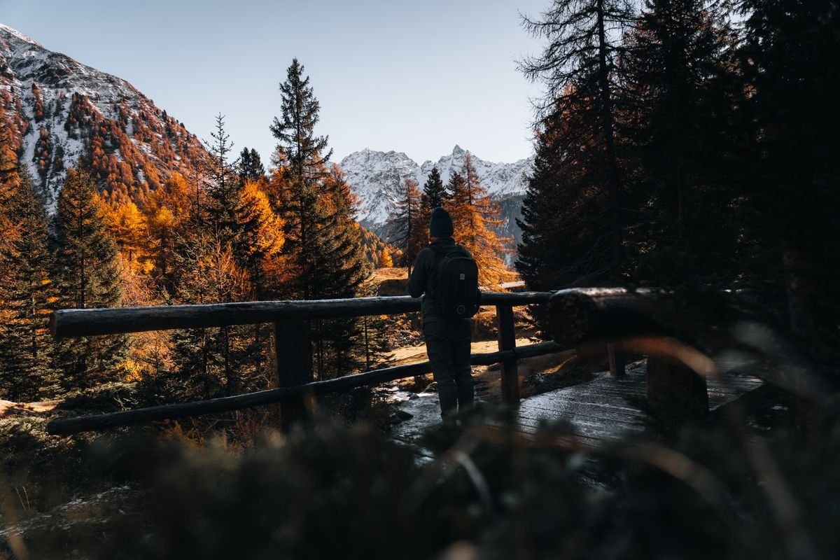 Hiker standing by a wooden railing with autumn trees and snow-capped mountains ahead