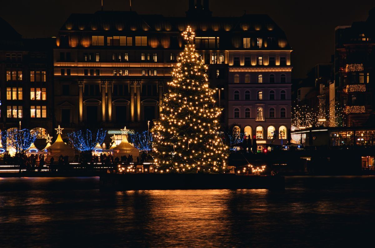 Large illuminated Christmas tree reflected on the water with city buildings at night