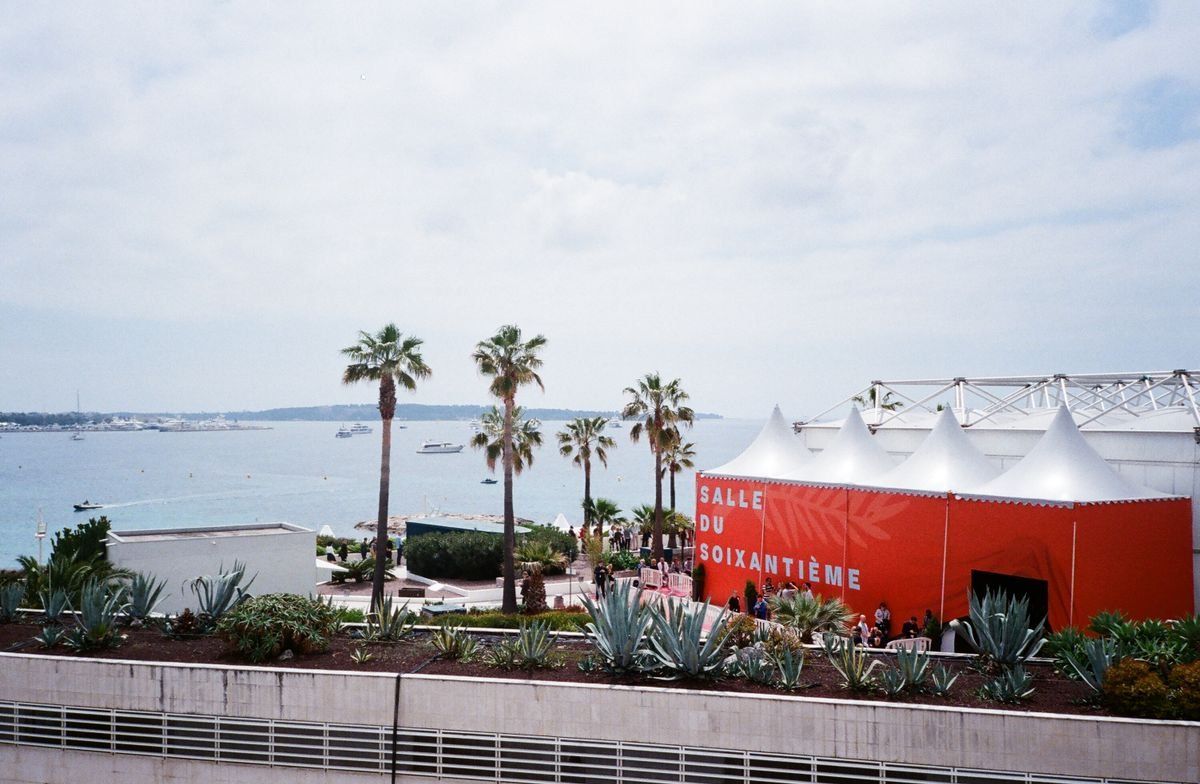 Palm trees by the seafront with a red event pavilion and boats offshore