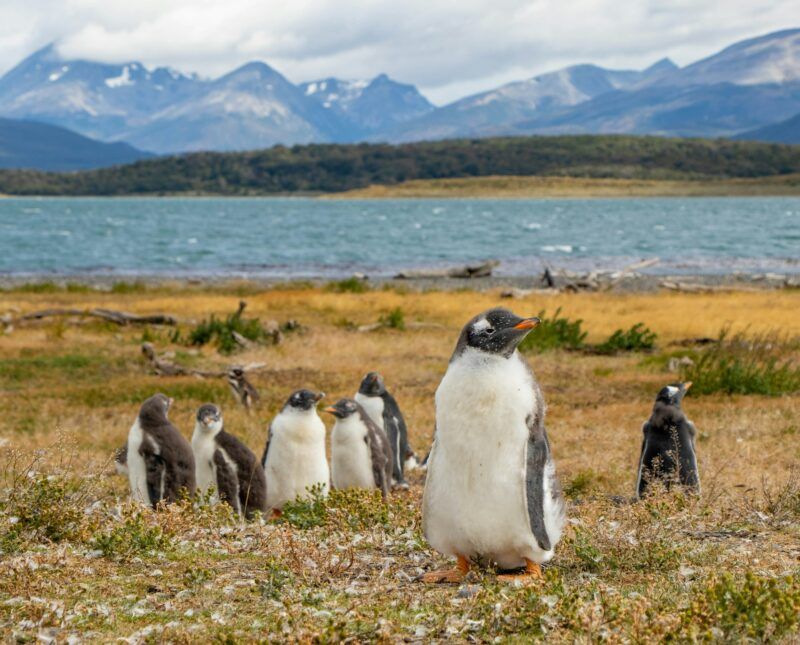 Tierra del Fuego
