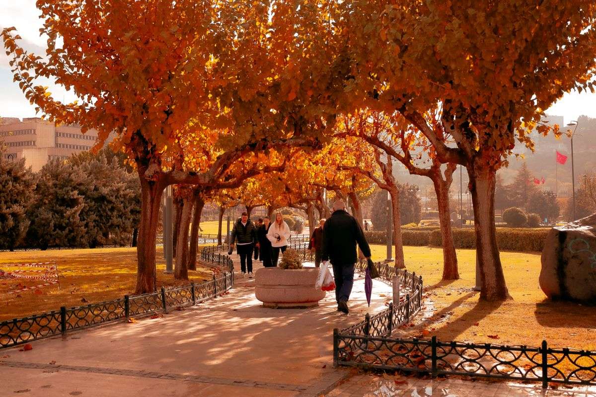 People walking along a park path beneath trees with bright orange autumn leaves