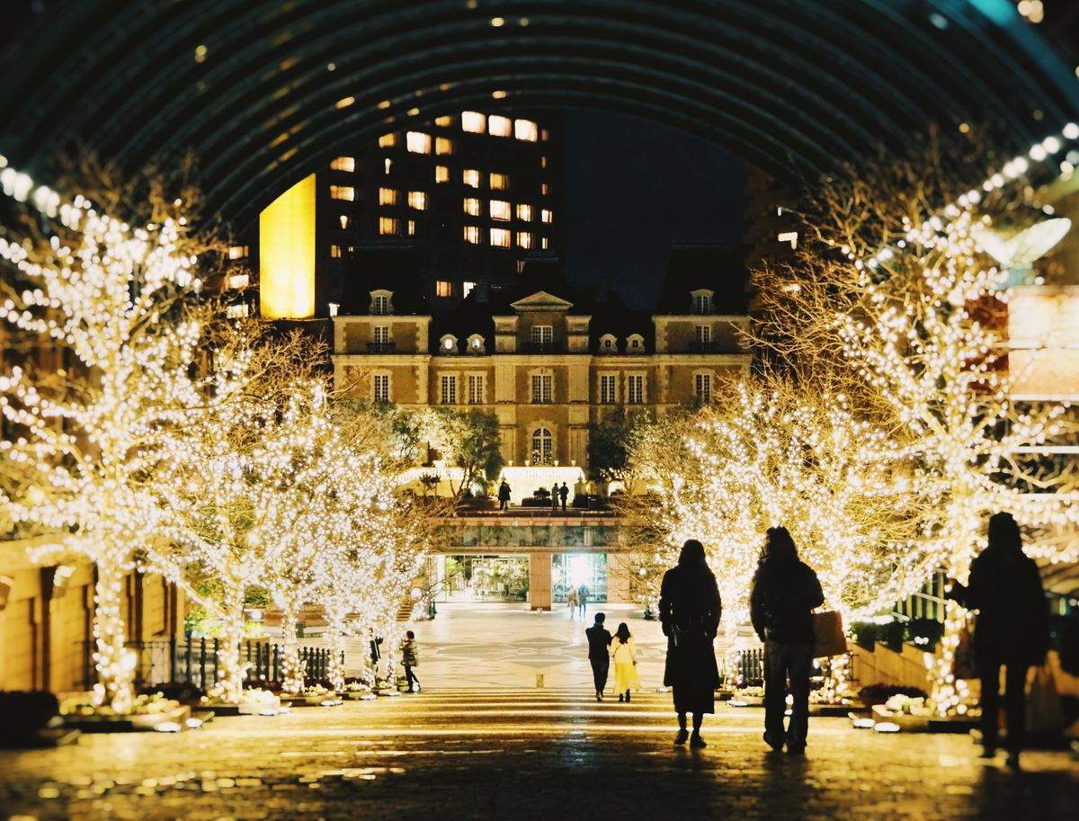People walking between trees covered in white lights at night