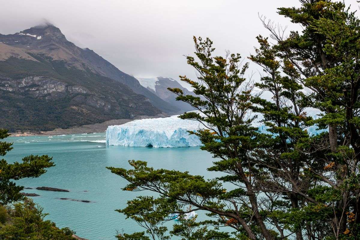 Perito Moreno Glacier across turquoise water, framed by trees and rugged mountains