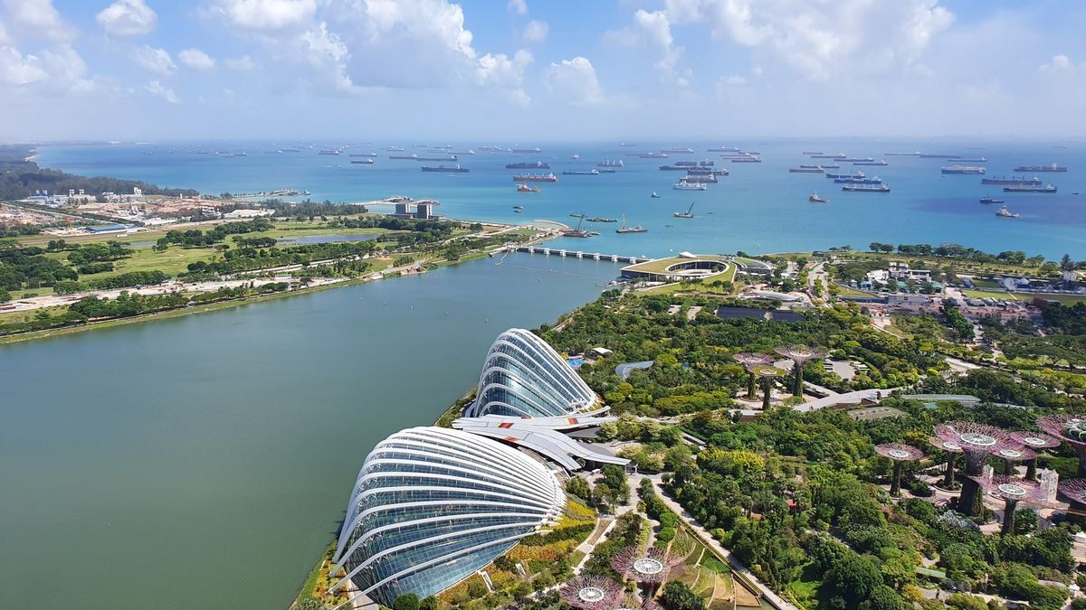 Aerial view of Gardens by the Bay, waterfront and anchored ships offshore
