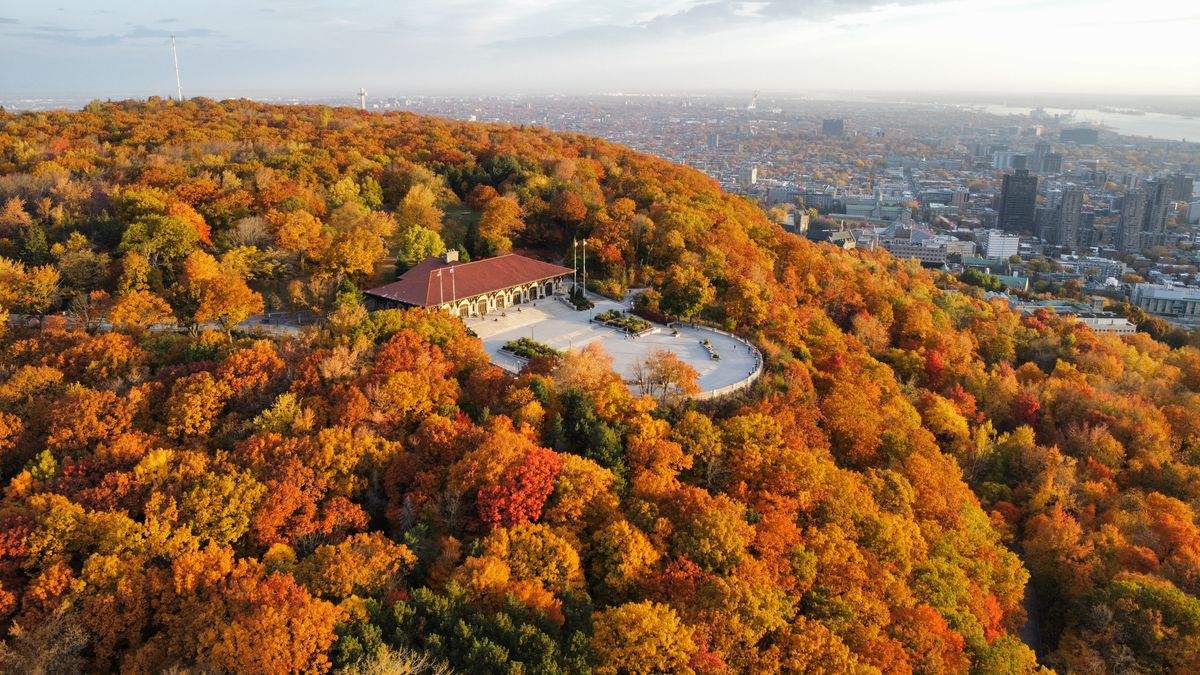 Aerial view of Mount Royal in autumn with colorful trees, a lookout terrace, and Montreal in the distance