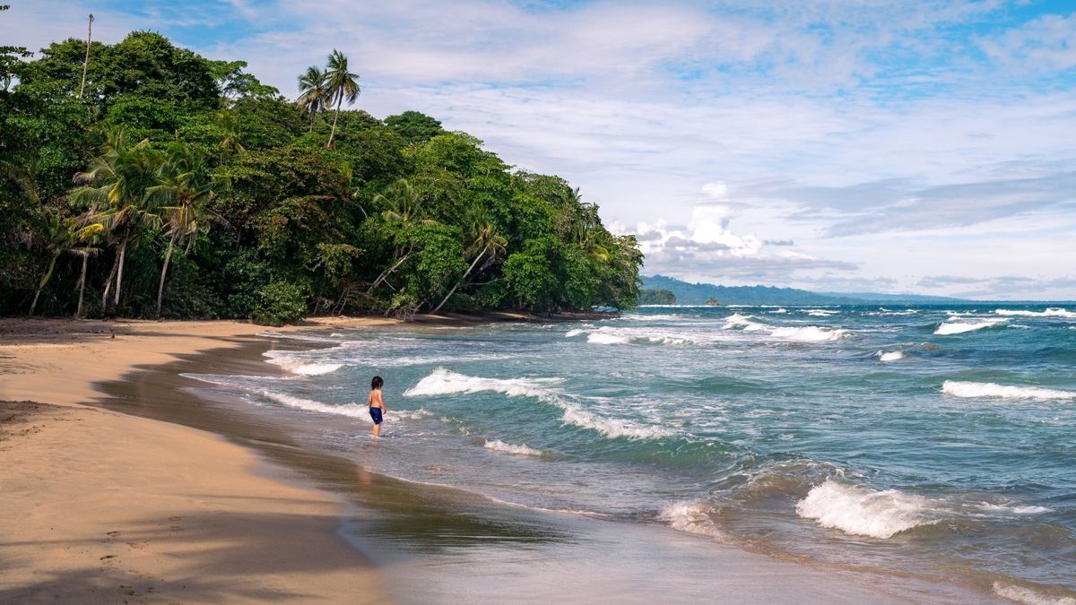 Child standing at the shoreline of a tropical beach with waves and dense trees