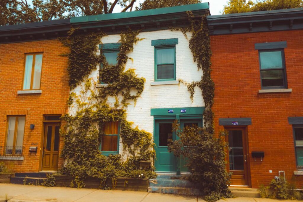 Row of brick townhouses covered in ivy in a Montreal neighborhood