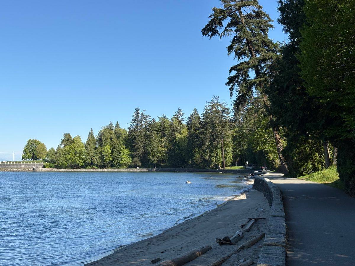Seawall path beside a sandy shore and calm water lined with tall trees in Stanley Park
